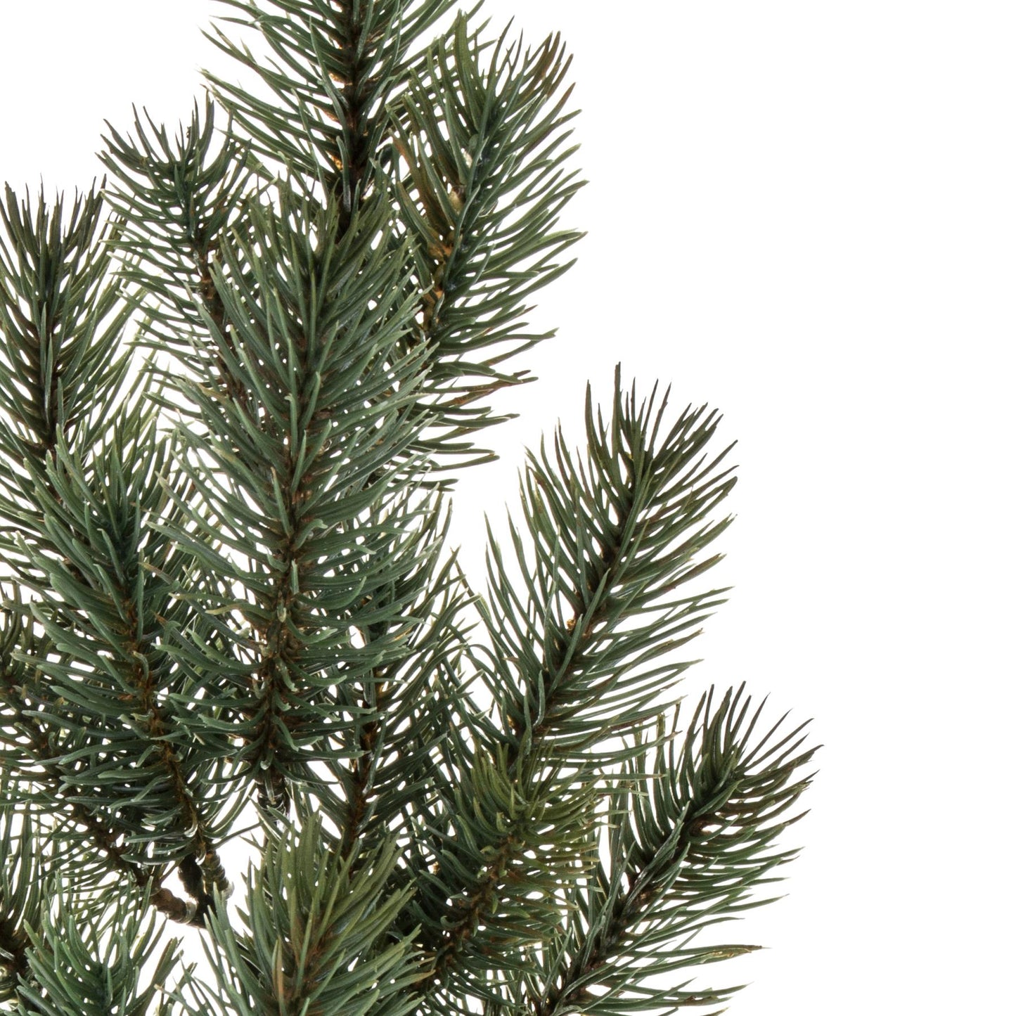 Ramo Decorativo di Pino Artificiale – Altezza 65 cm