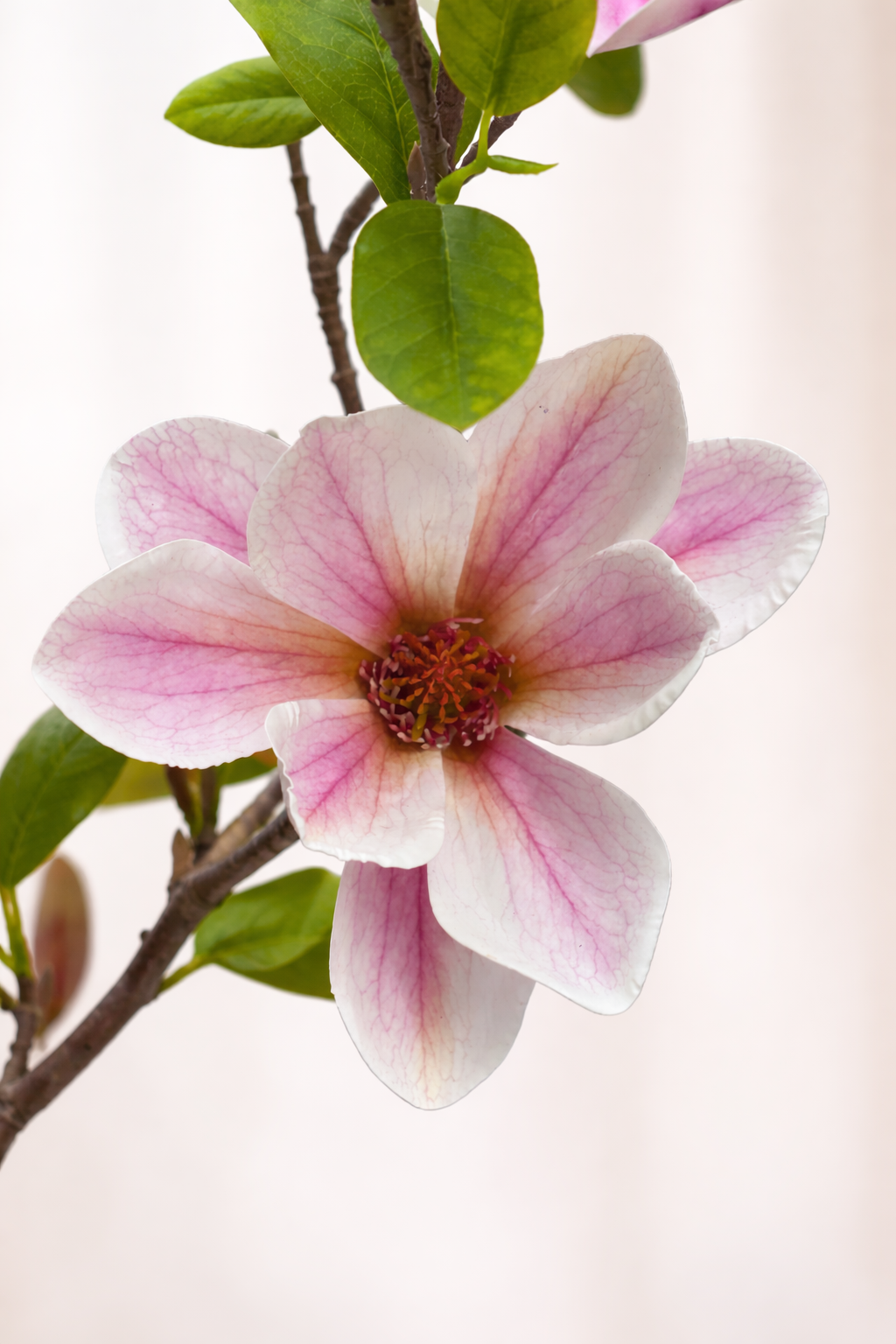 Fiori di Lena - Ramo Magnolia Artificiale 135 cm