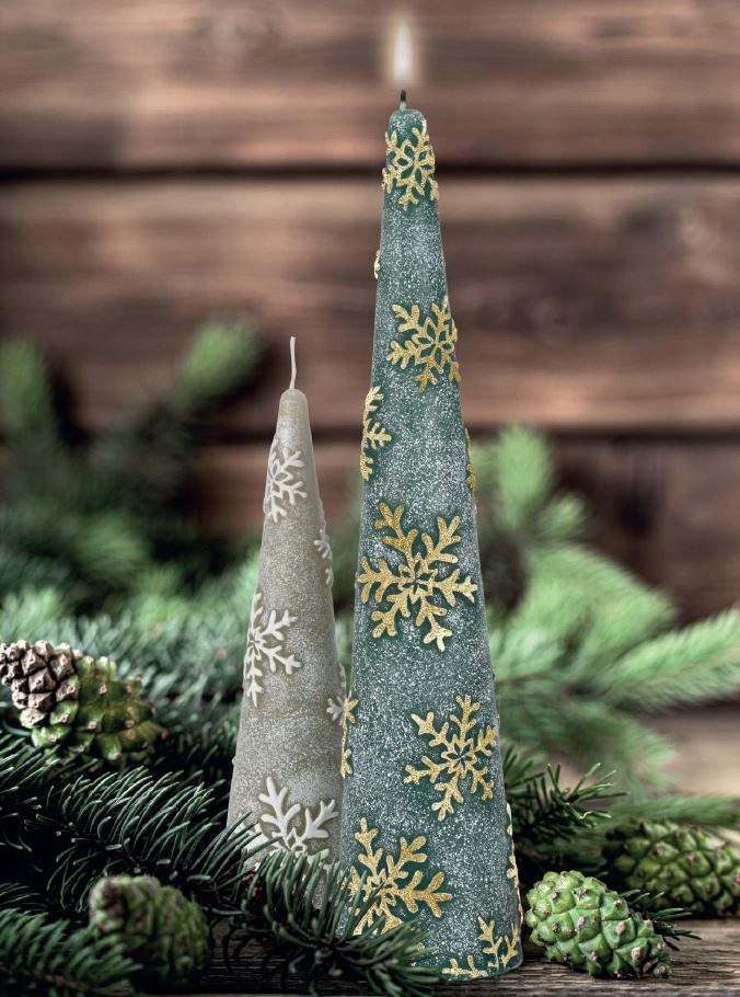 CANDELA ALBERO ARGENTO WALD