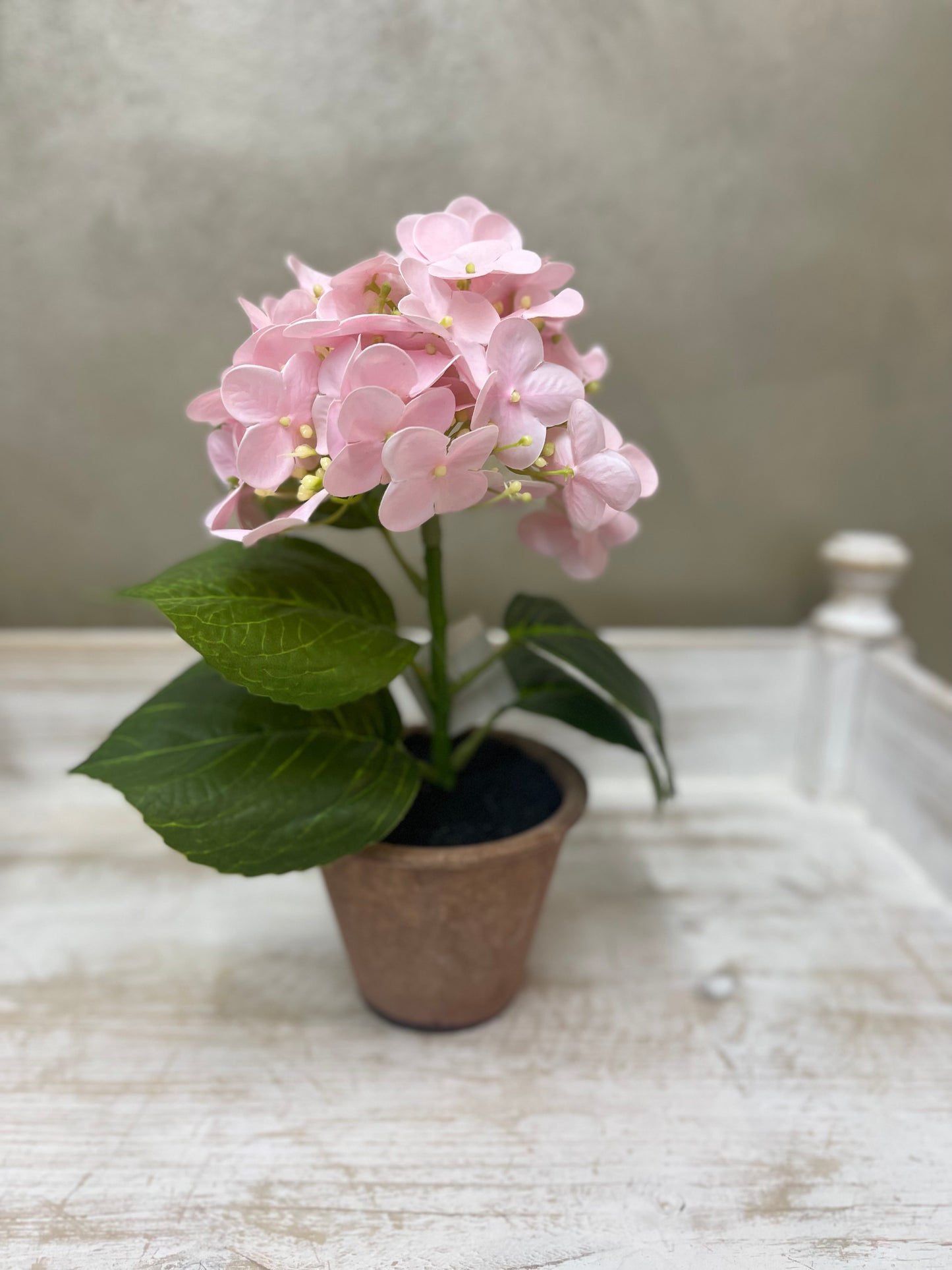 Fiori di Lena Piantina Ortensia Decorativa in Vaso H28 cm