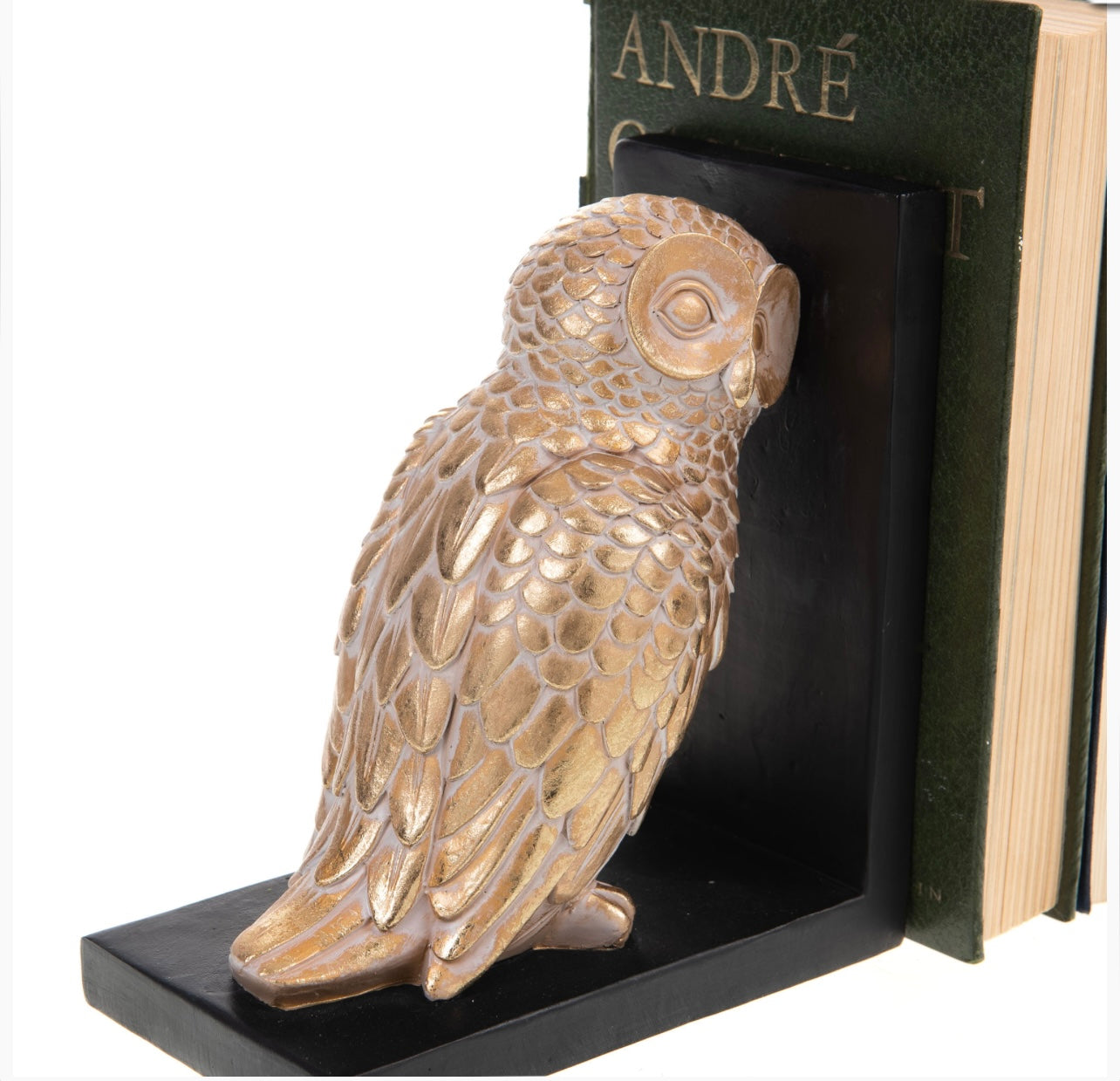 Fermalibri Civetta Eddy – Eleganza e Stile per la Tua Libreria
