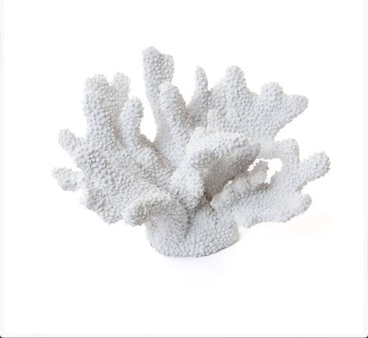 Corallo decorativo di Amadeus