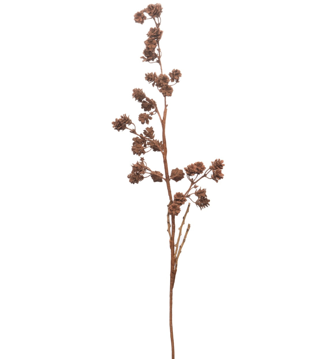 Ramo Decorativo con Mini Boccioli Marroni