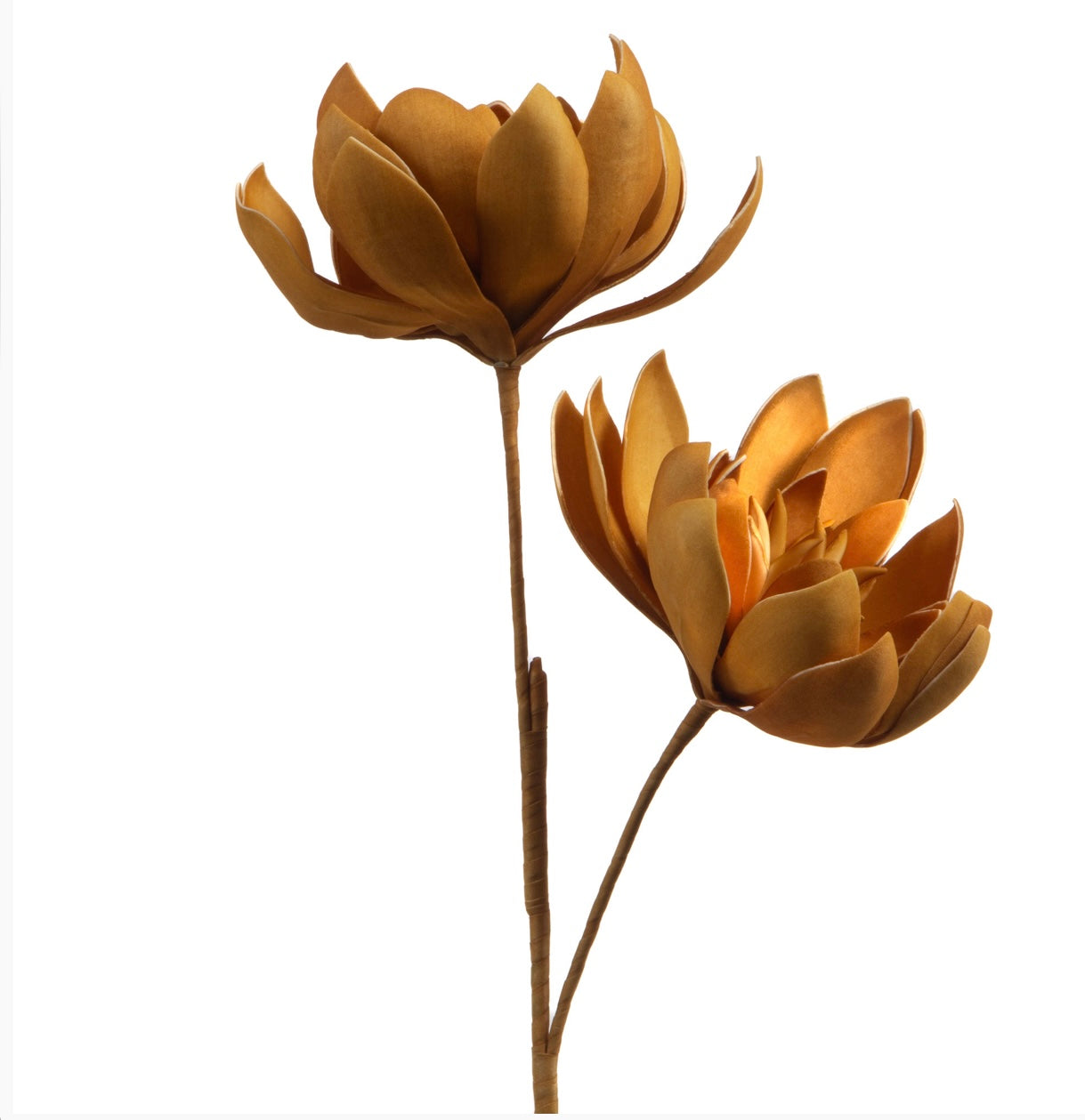 Fiore Lana 107 cm di AMADEUS