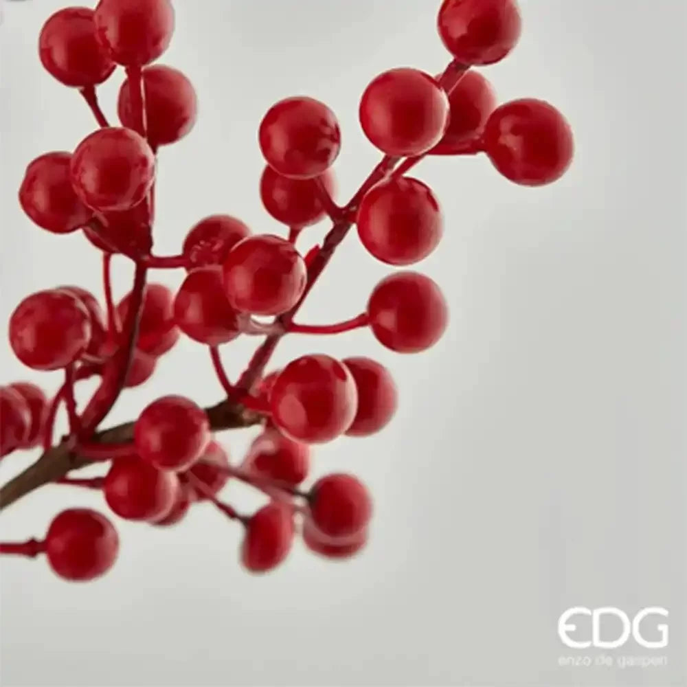 Ramo di bacche di EDG