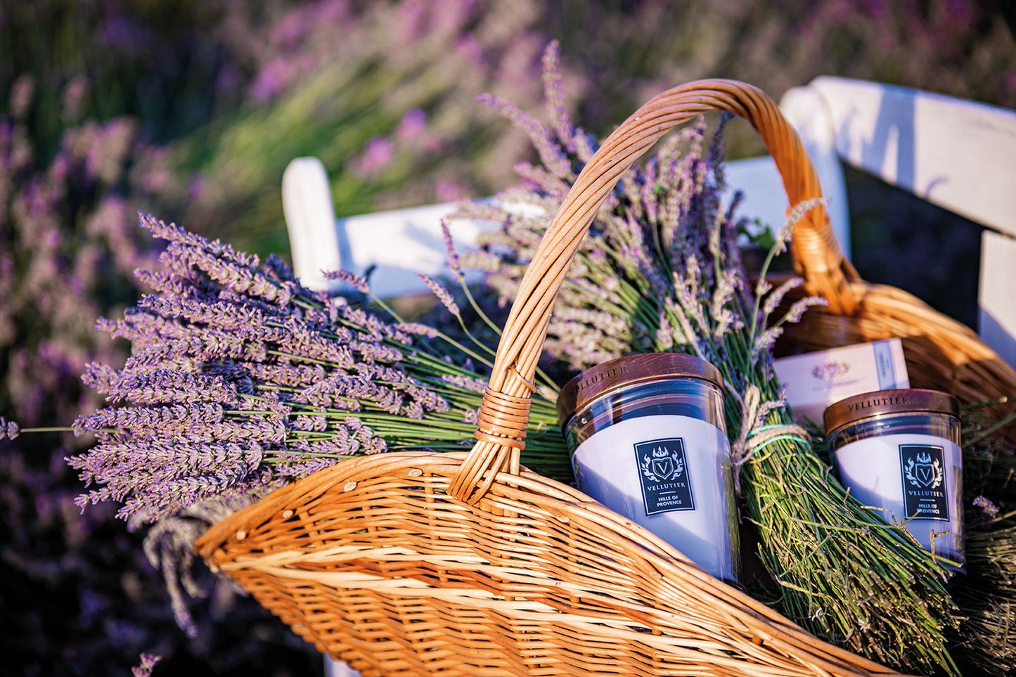 Candela Hills of Provence di VELLUTIER