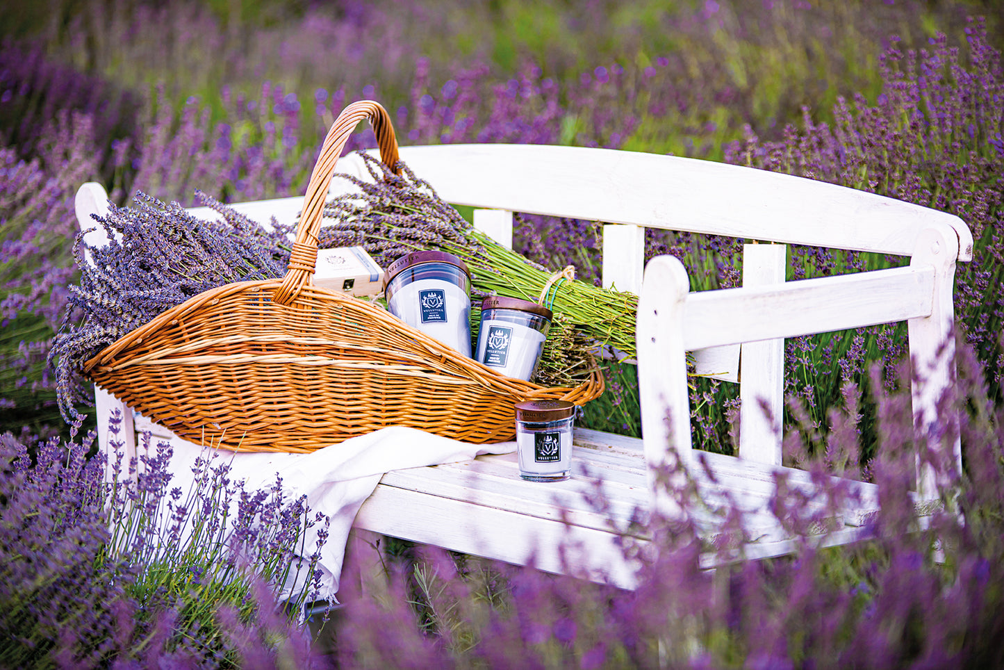 Candela Hills of Provence di VELLUTIER