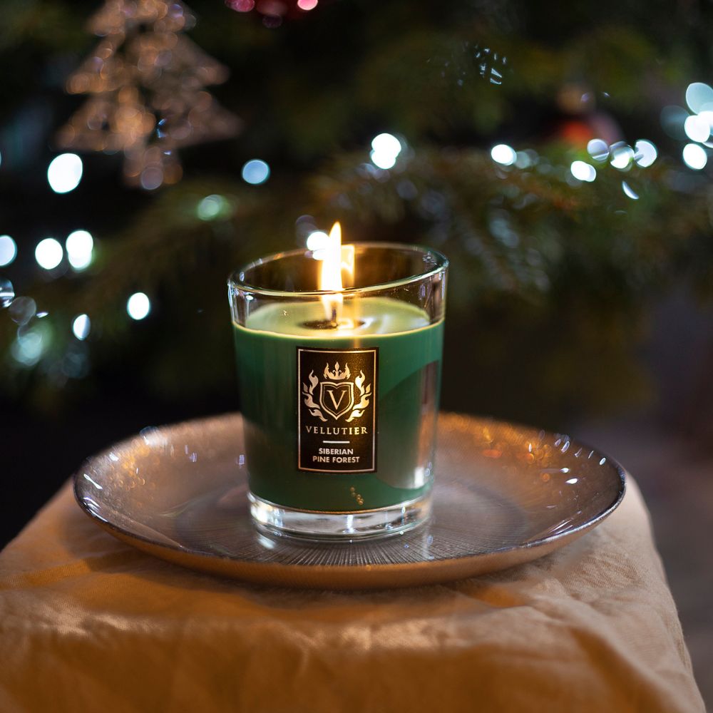Candela Siberian Pine Forest di VELLUTIER