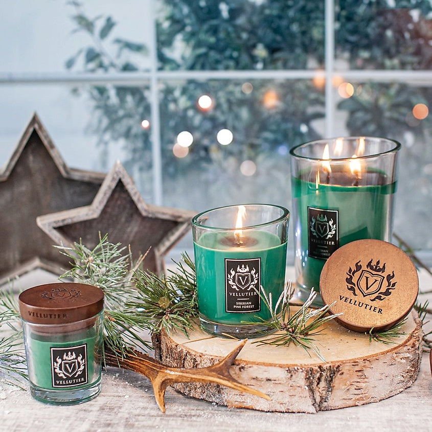 Candela Siberian Pine Forest di VELLUTIER