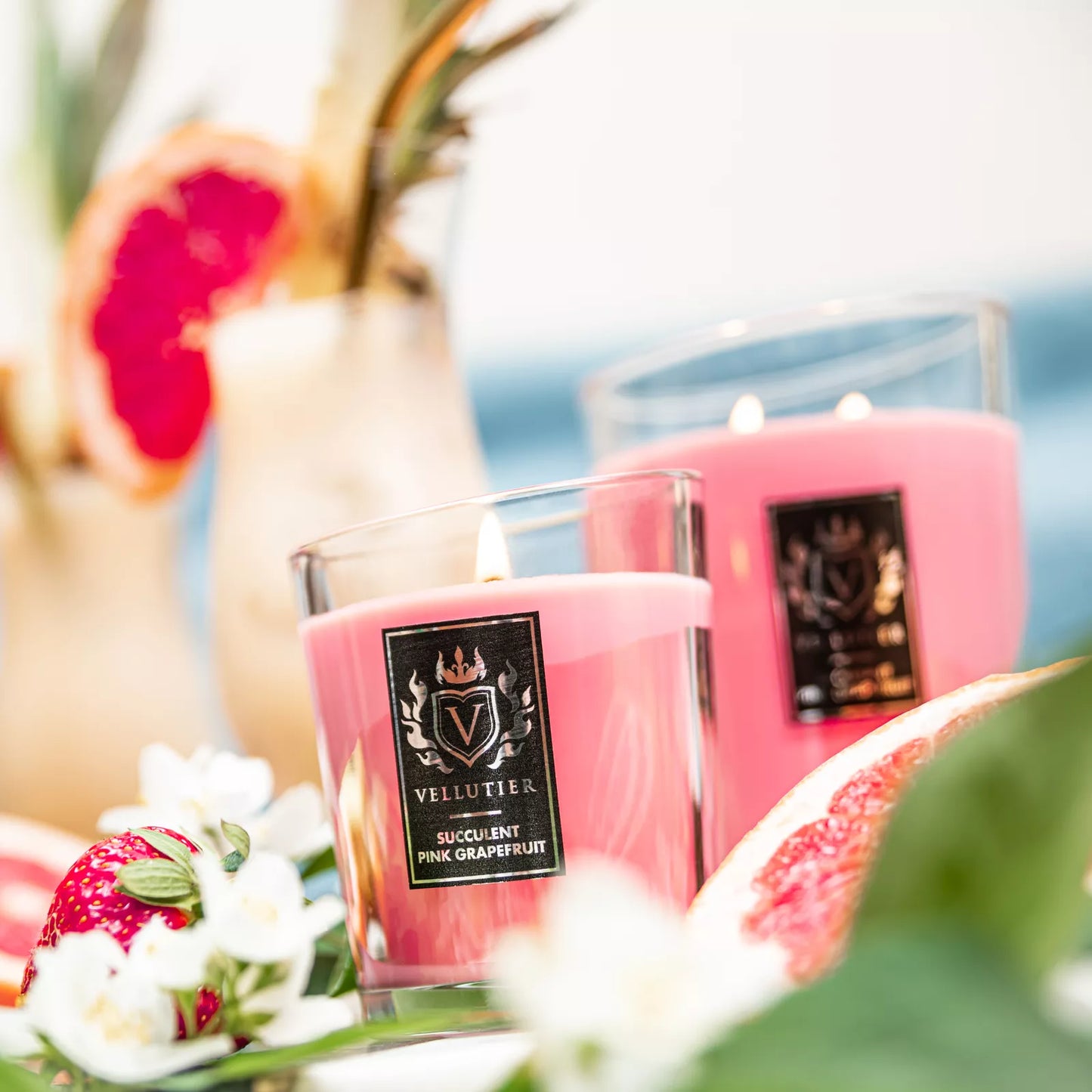 Candela Succulent Pink Grapefruit di VELLUTIER