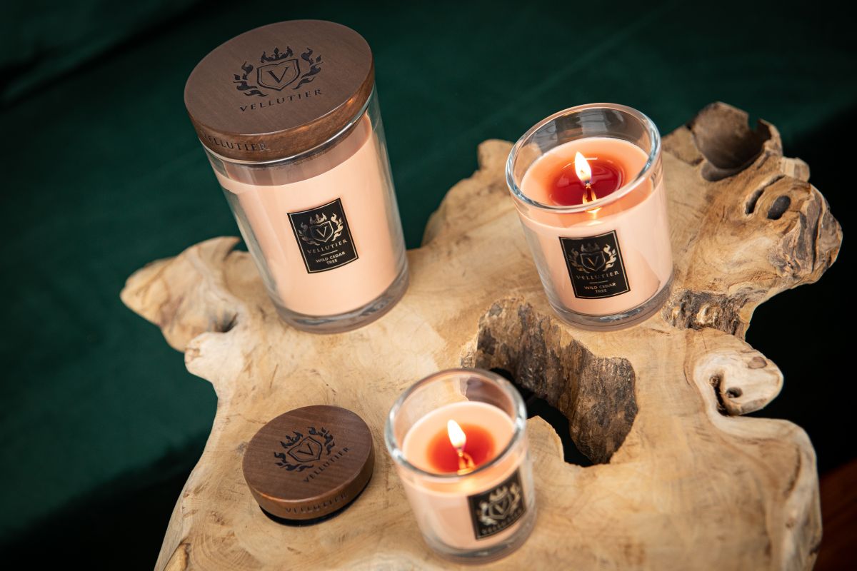Candela Wild Cedar Tree di VELLUTIER