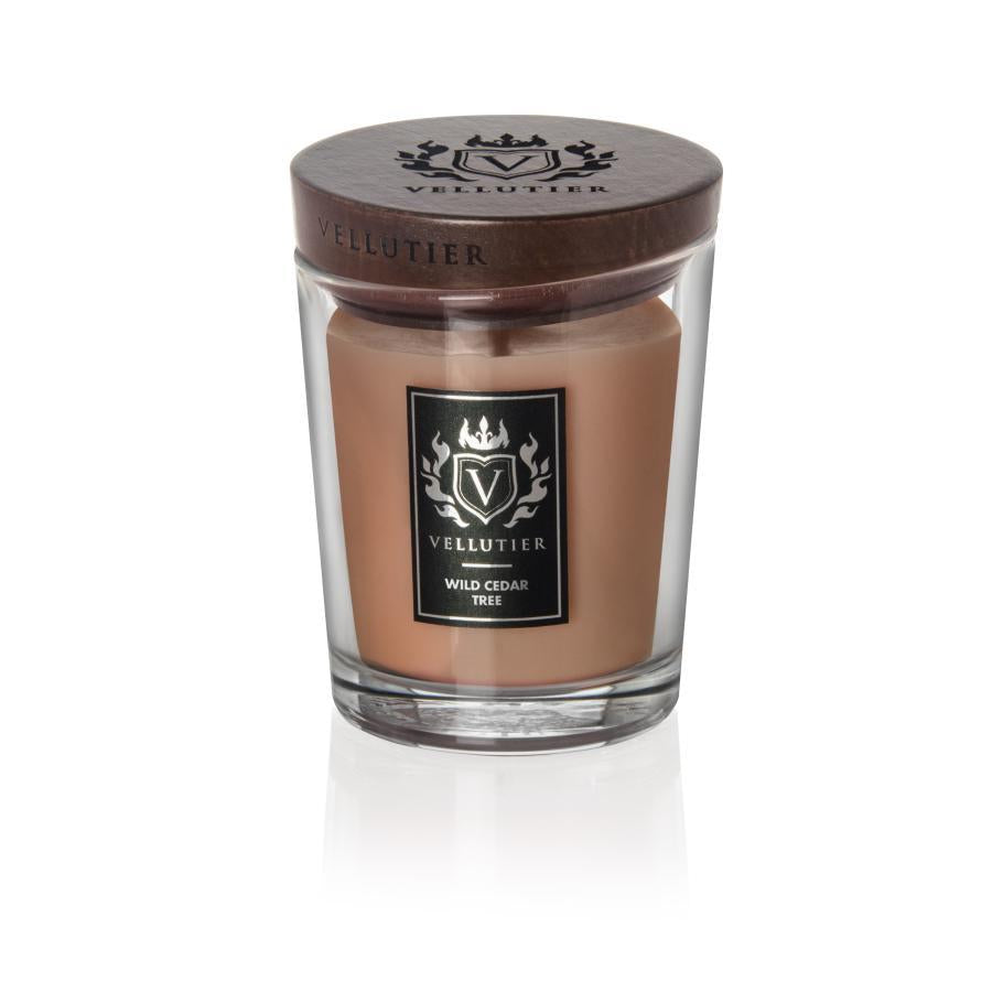 Candela Wild Cedar Tree di VELLUTIER