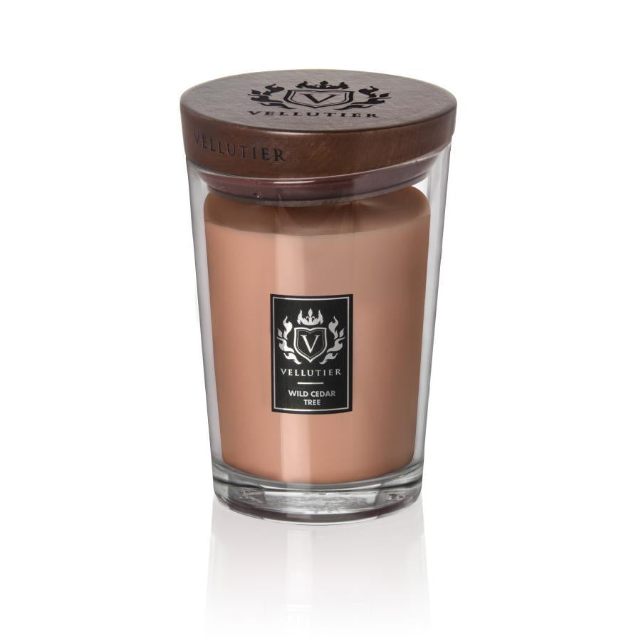 Candela Wild Cedar Tree di VELLUTIER
