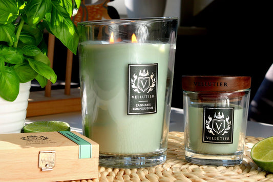 Candela Cannabis Connoisseur di VELLUTIER