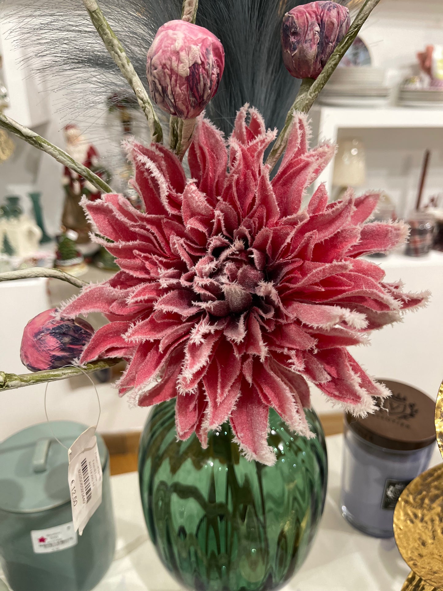 Dalia Rex ramo innevato di EDG