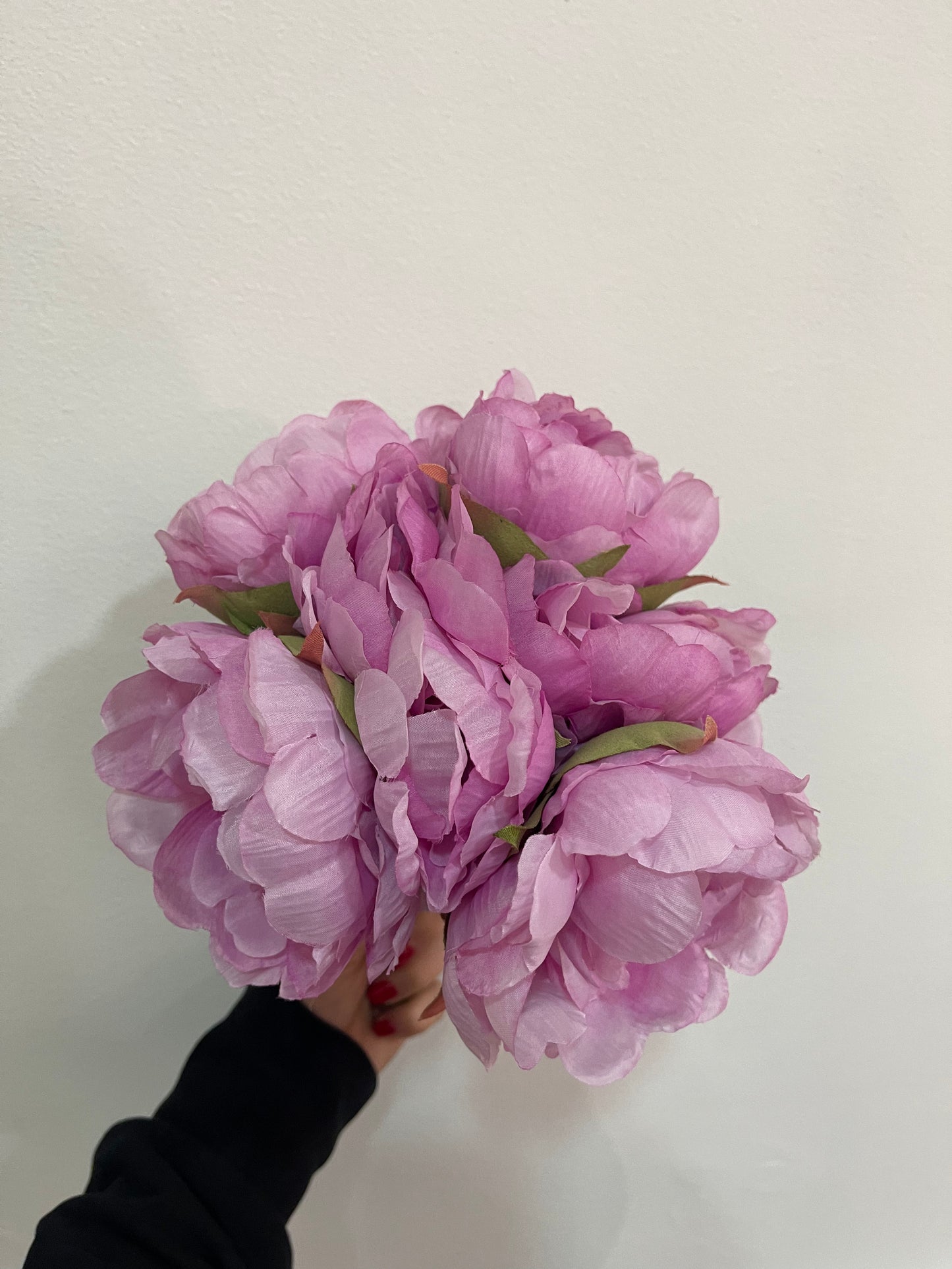 EDG Enzo de Gasperi Mazzo 6 peonie