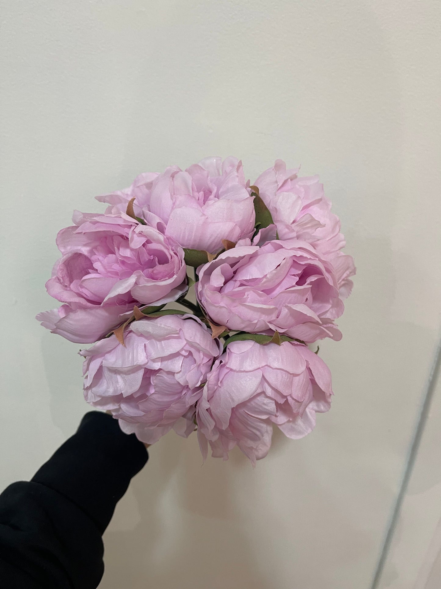 EDG Enzo de Gasperi Mazzo 6 peonie