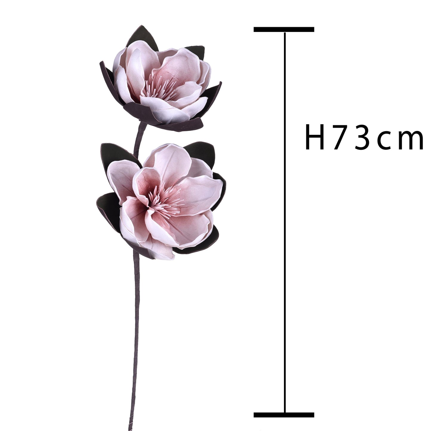 Ramo di magnolia 73 cm di BIANCHI DINO