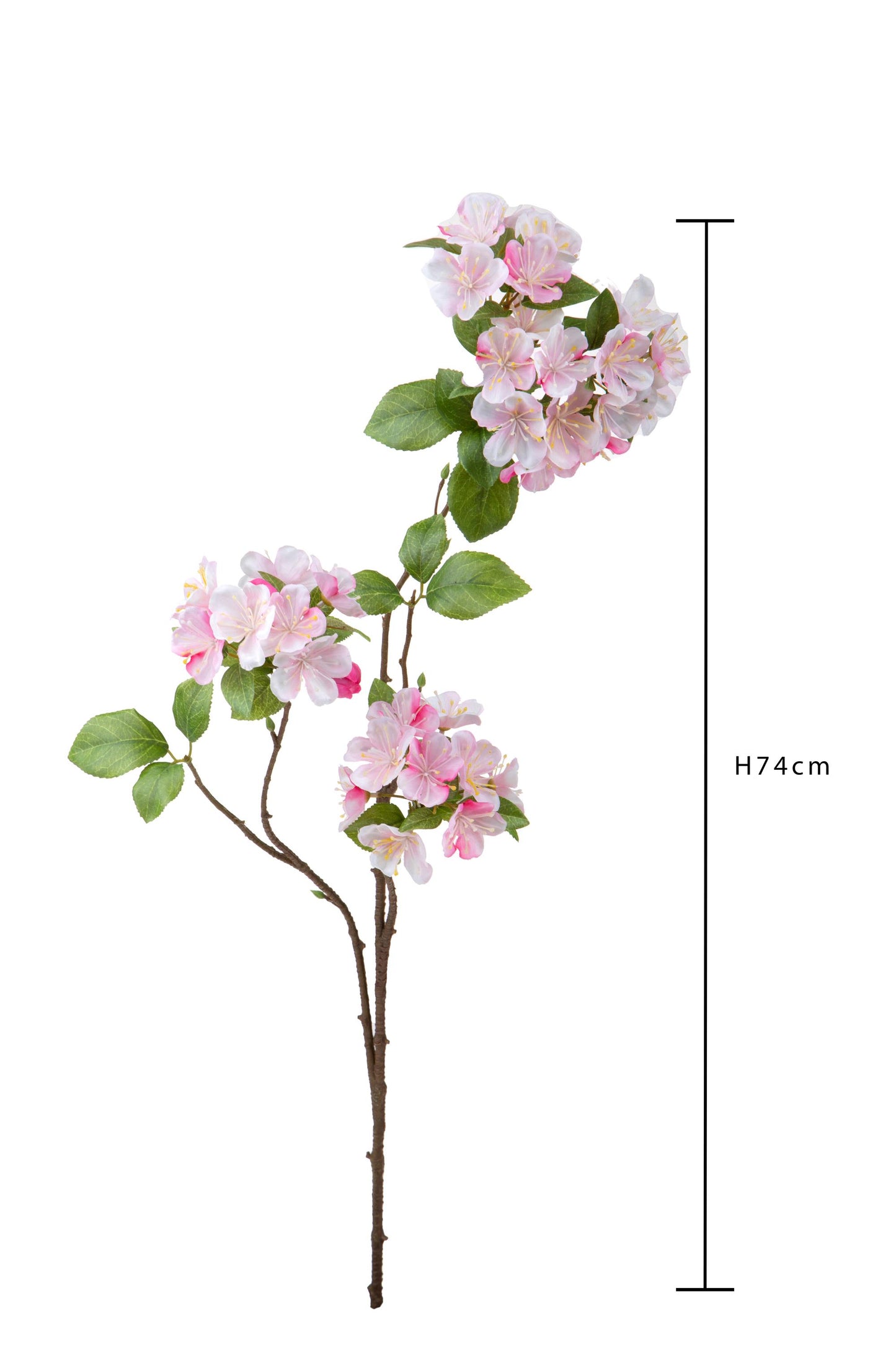 Ramo di fiori di melo 74cm di BIANCHI DINO