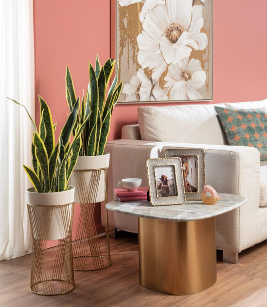 Cache-pot L’Oca Nera con struttura dorata