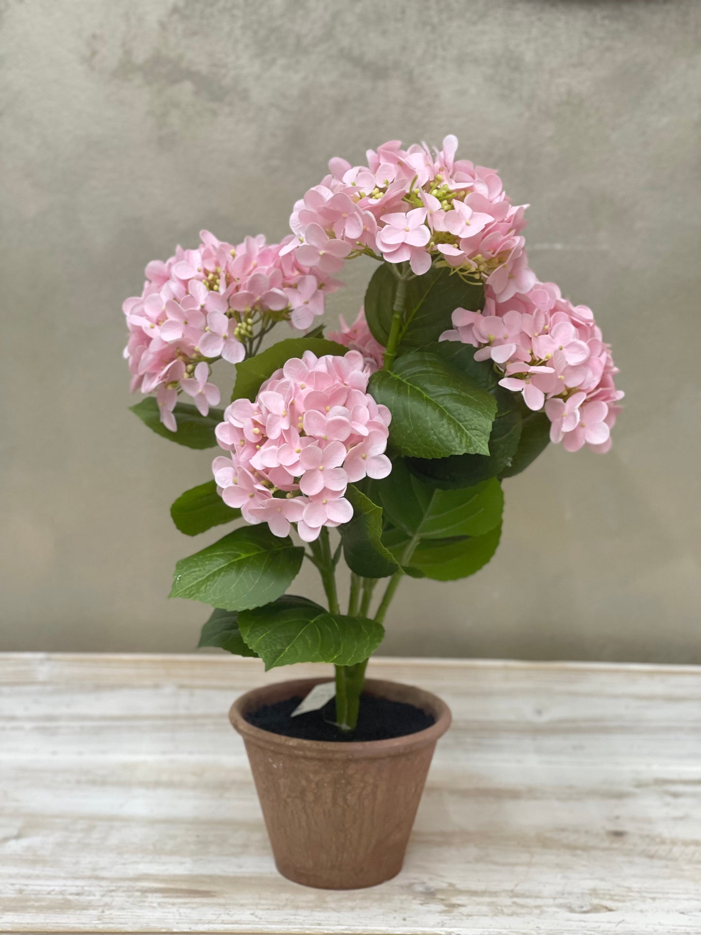 Fiori di Lena Piantina Ortensia Decorativa in Vaso H52 cm