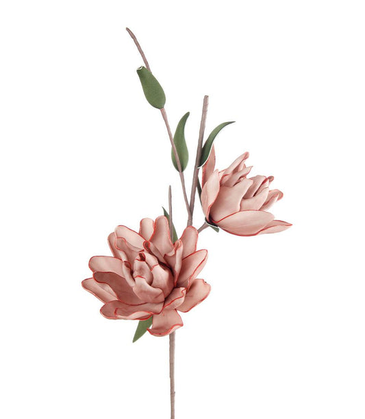 L'OCA NERA Magnolia Liliiflora rosa