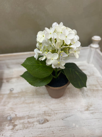 Fiori di Lena Piantina Ortensia Decorativa in Vaso H28 cm