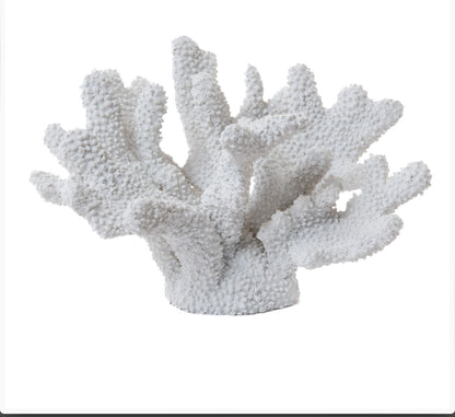 Corallo decorativo di Amadeus