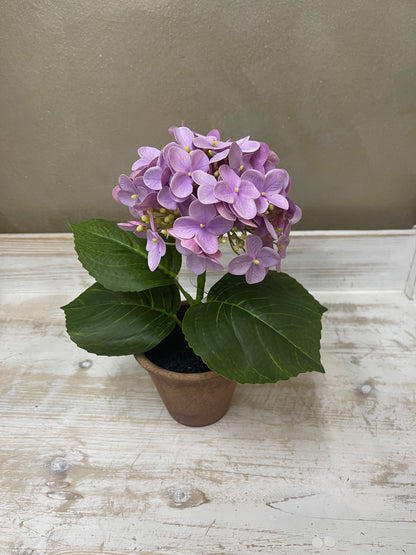 Fiori di Lena Piantina Ortensia Decorativa in Vaso H28 cm