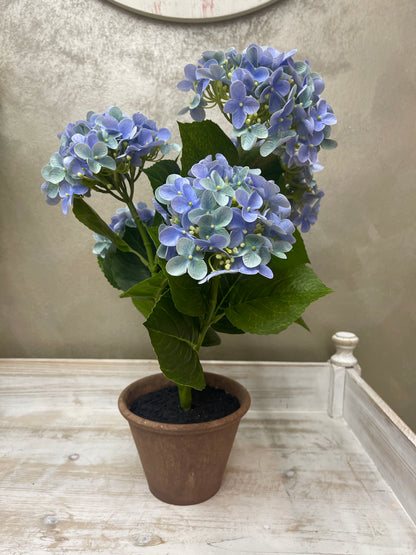 Fiori di Lena Piantina Ortensia Decorativa in Vaso H52 cm