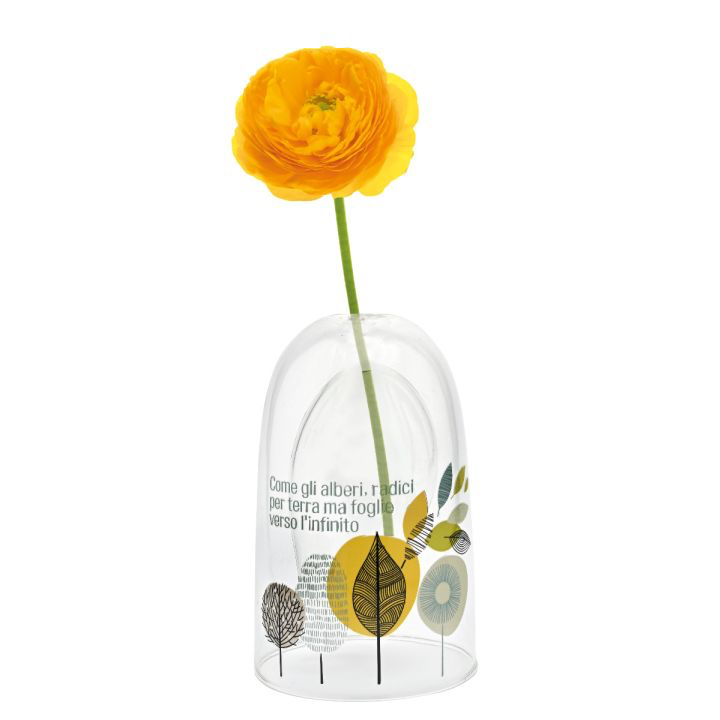 WALD Bottiglia in vetro borosilicato per profumo ambiente 10x16 cm – Collezione Voilà