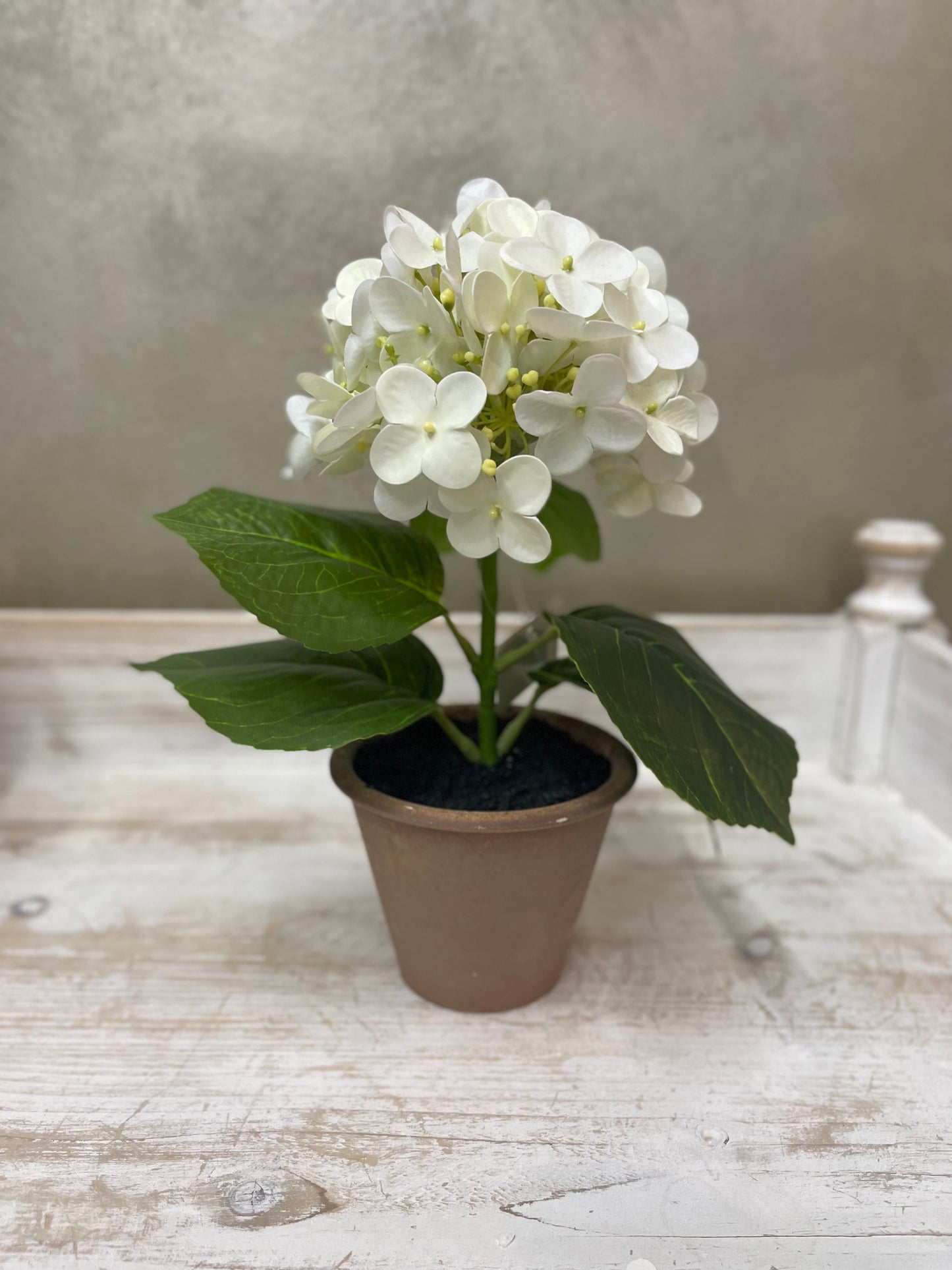 Fiori di Lena Piantina Ortensia Decorativa in Vaso H28 cm