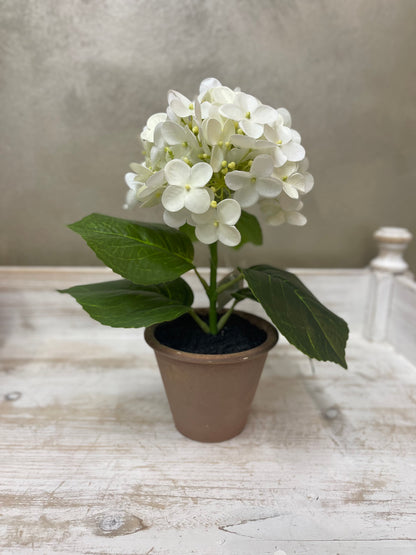 Fiori di Lena Piantina Ortensia Decorativa in Vaso H28 cm