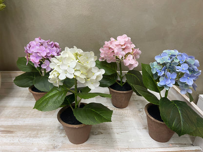 Fiori di Lena Piantina Ortensia Decorativa in Vaso H28 cm