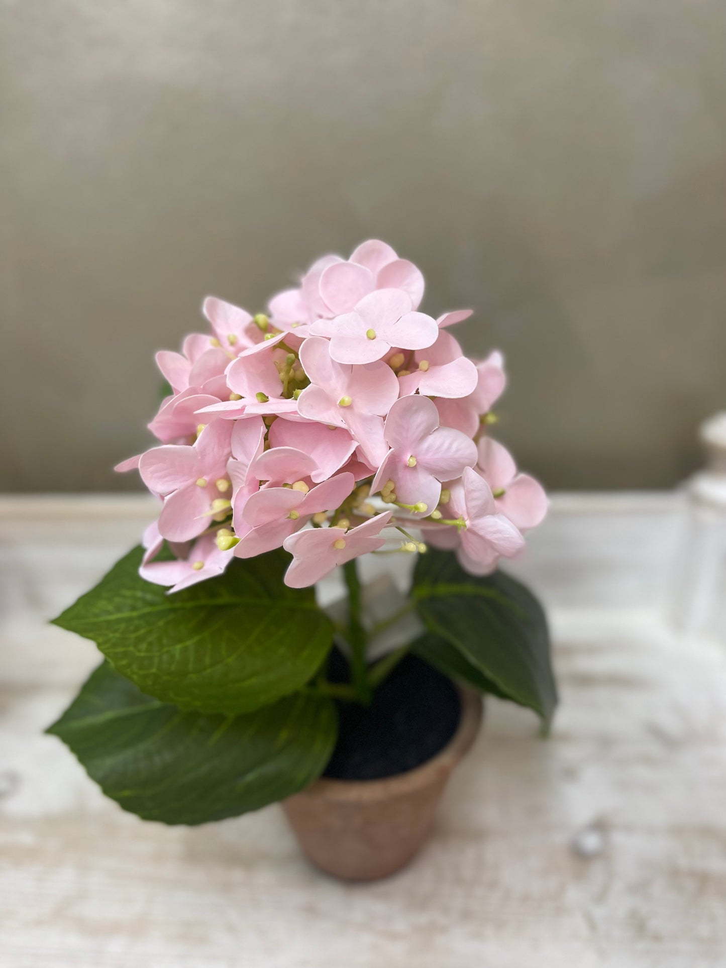 Fiori di Lena Piantina Ortensia Decorativa in Vaso H28 cm