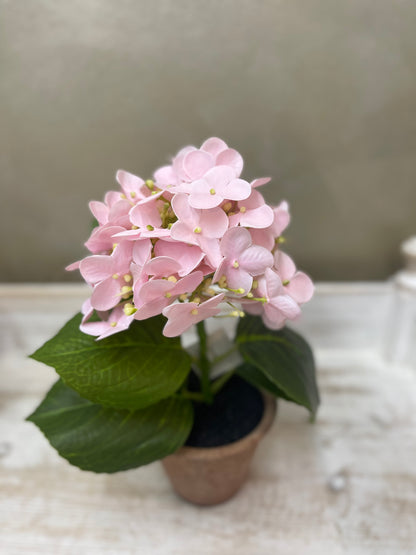 Fiori di Lena Piantina Ortensia Decorativa in Vaso H28 cm