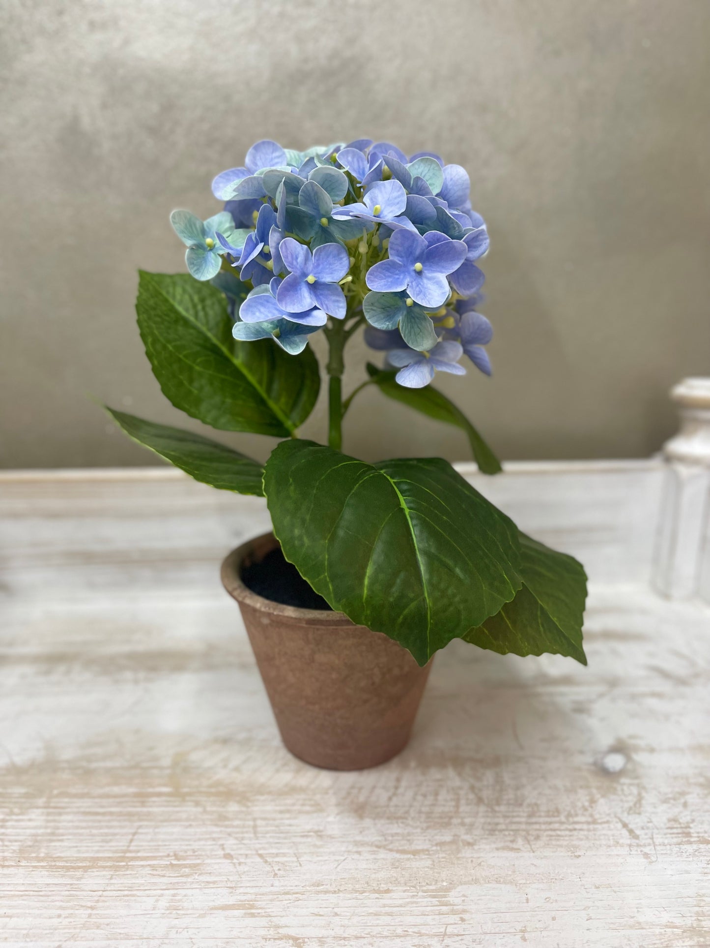 Fiori di Lena Piantina Ortensia Decorativa in Vaso H28 cm