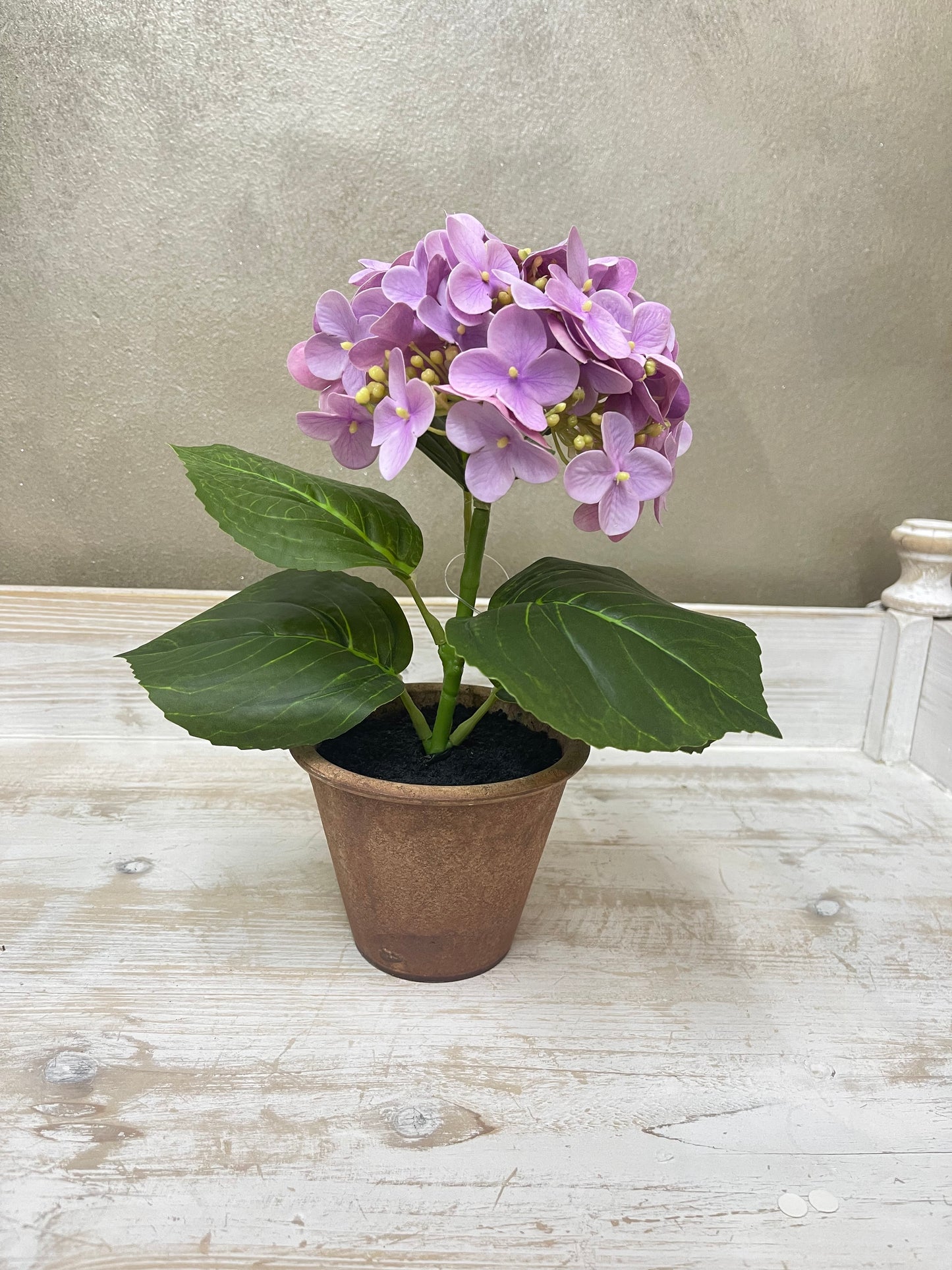 Fiori di Lena Piantina Ortensia Decorativa in Vaso H28 cm