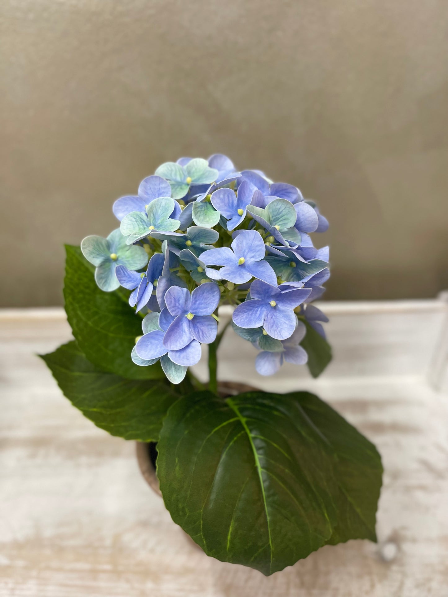 Fiori di Lena Piantina Ortensia Decorativa in Vaso H28 cm