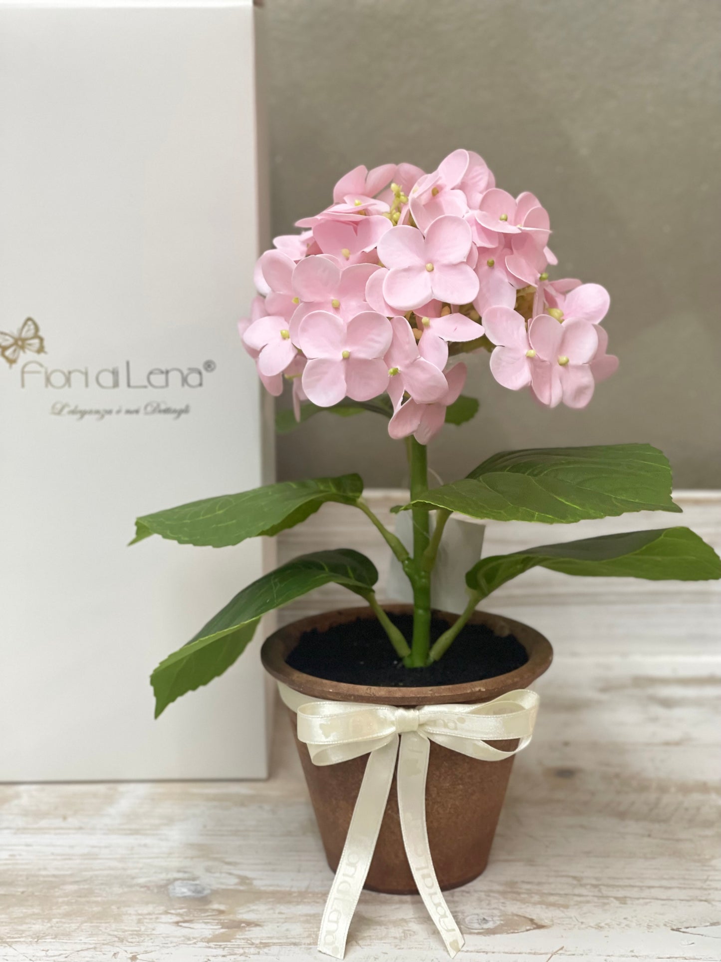 Fiori di Lena Piantina Ortensia Decorativa con Vaso e Scatola – H 28 cm