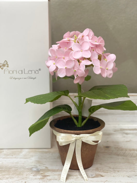 Fiori di Lena Piantina Ortensia Decorativa con Vaso e Scatola – H 28 cm
