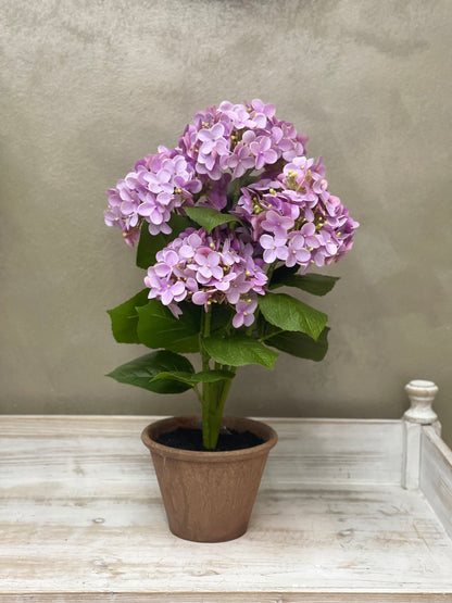 Fiori di Lena Piantina Ortensia Decorativa in Vaso H52 cm