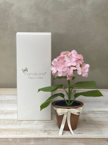 Fiori di Lena Piantina Ortensia Decorativa con Vaso e Scatola – H 28 cm