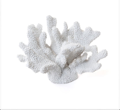 Corallo decorativo di Amadeus