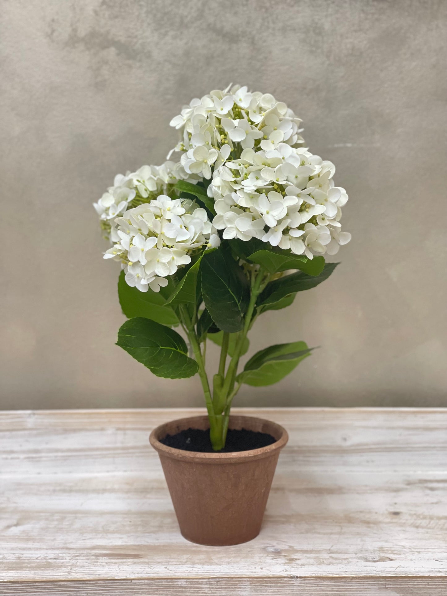 Fiori di Lena Piantina Ortensia Decorativa in Vaso H52 cm