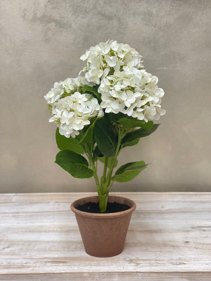 Fiori di Lena Piantina Ortensia Decorativa in Vaso H52 cm