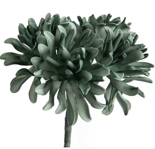 Fiore Marbella eucalyptus di AMADEUS
