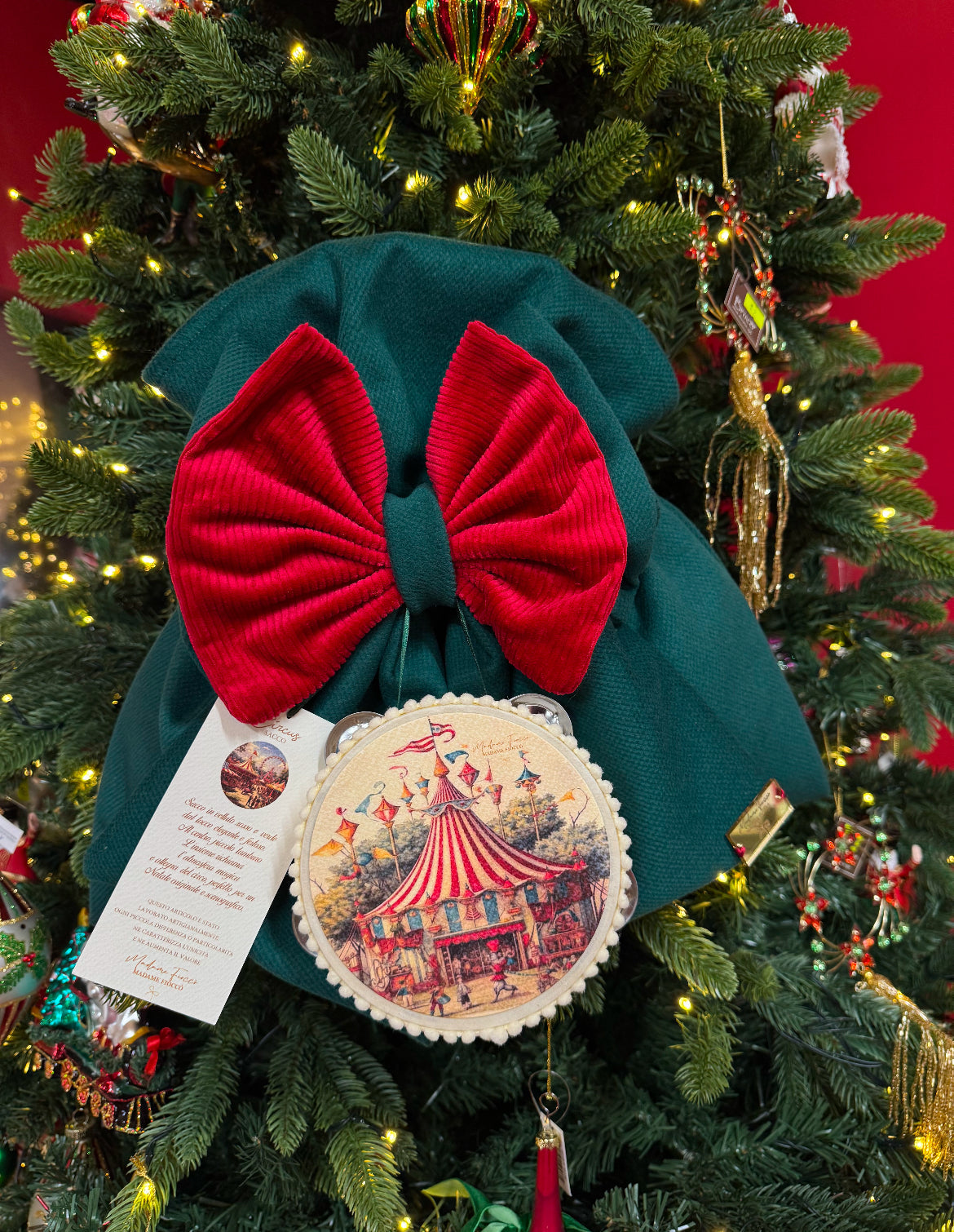 MADAME FIOCCÒ – Sacco Circus