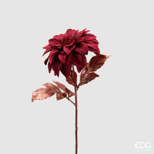 Dalia stelo rame di EDG