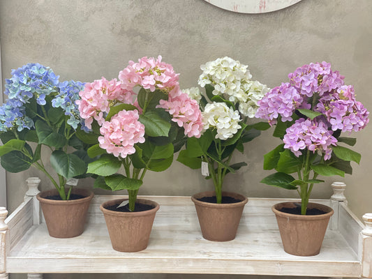 Fiori di Lena Piantina Ortensia Decorativa in Vaso H52 cm